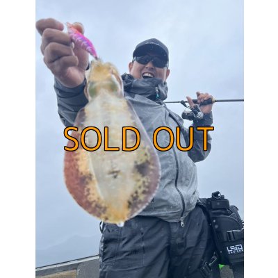 画像6: WILDCHASE 3.5号シャローtune / モンスターピンク[特注:EGI MANIACS]