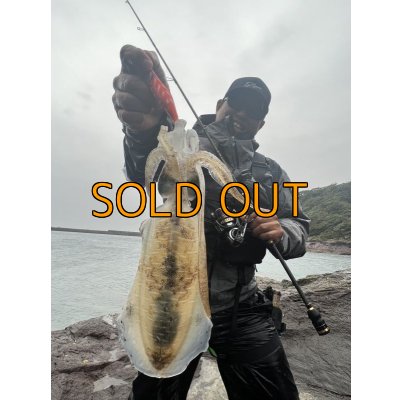 画像11: WILDCHASE 3.5号シャローtune / モンスターオレンジ[特注:EGI MANIACS]