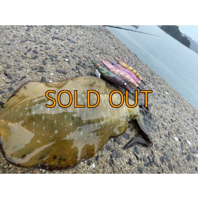 画像7: WILD CHASE 3.5号RT(ラトル) モンスターブラック[特注:EGI MANIACS]