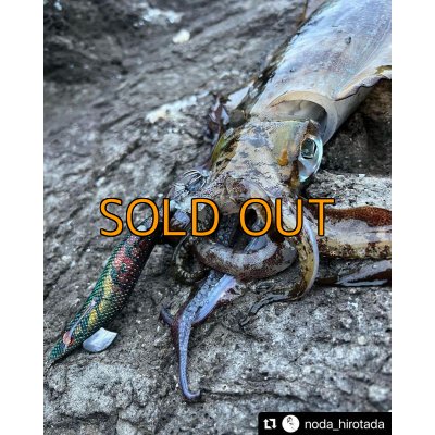 画像6: WILD CHASE 3.5号RT(ラトル) モンスターブラック[特注:EGI MANIACS]