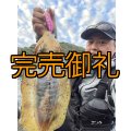 WILD CHASE 3.5号RT(ラトル)  モンスターピンク[特注:EGI MANIACS]