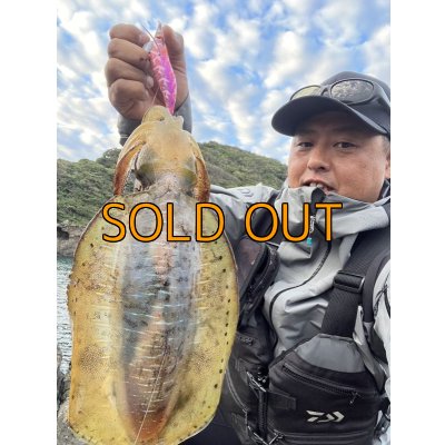 画像5: WILDCHASE 3.5号シャローtune / モンスターピンク[特注:EGI MANIACS]