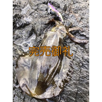 画像5: WILD CHASE 3.5号ほなけんパープル[特注:87works]