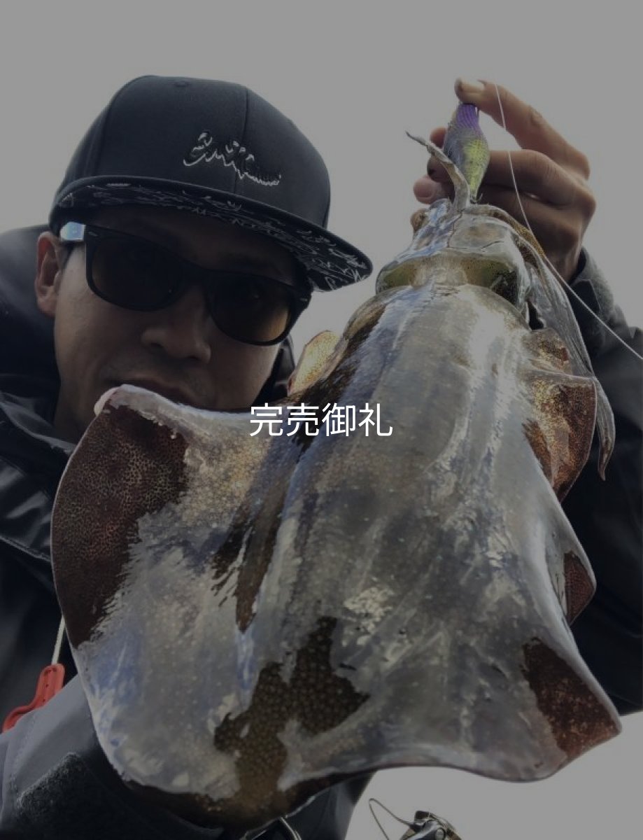 画像3: WILD CHASE 3.5号ほなけんパープル[特注:87works] (3)