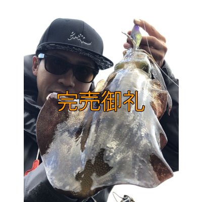 画像3: WILD CHASE 3.5号ほなけんパープル[特注:87works]