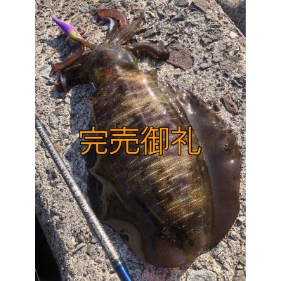 画像4: WILD CHASE 3.5号ほなけんパープル[特注:87works]