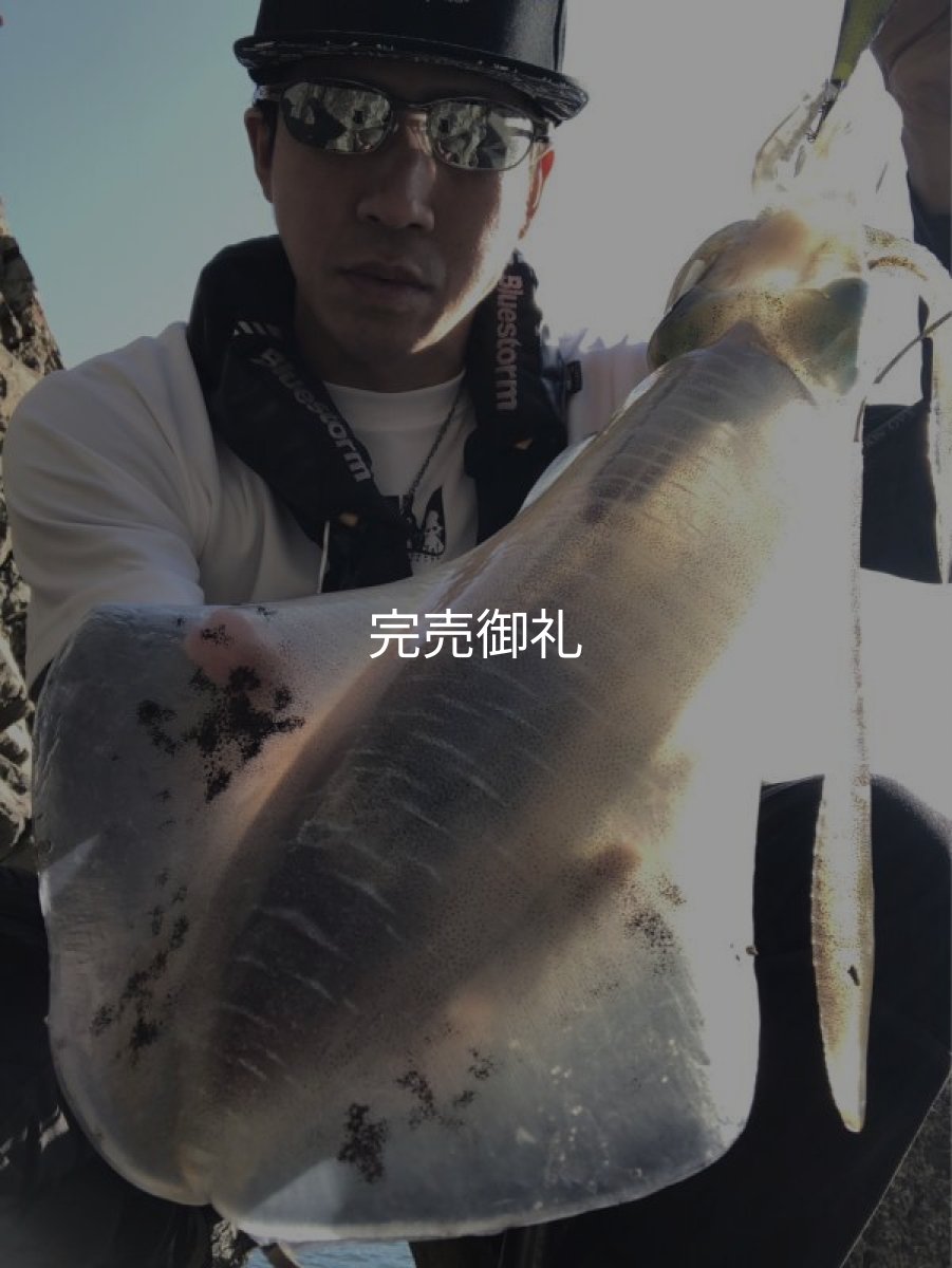 画像2: WILD CHASE 3.5号 いけるでレッド[特注:87works] (2)