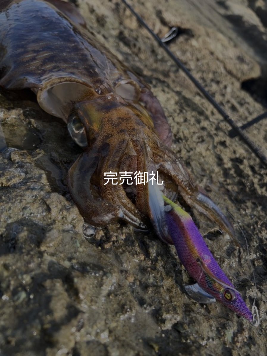 画像2: WILD CHASE 3.5号ほなけんパープル[特注:87works] (2)