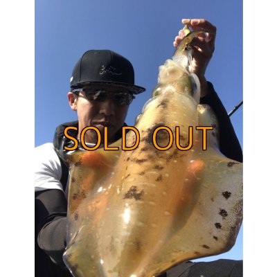 画像7: ★送料無料★エギマニ完全オリジナルスナップ シャドー刺繍 バックフラットCAPデザイン【ツバ裏プリント有】