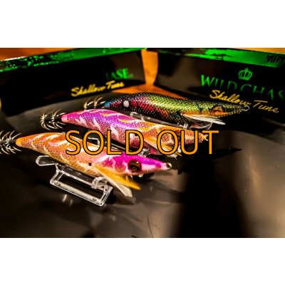画像4: WILDCHASE 3.5号シャローtune / モンスターピンク[特注:EGI MANIACS]