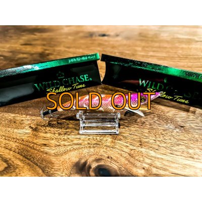 画像4: WILDCHASE 3.5号シャローtune / モンスターオレンジ[特注:EGI MANIACS]