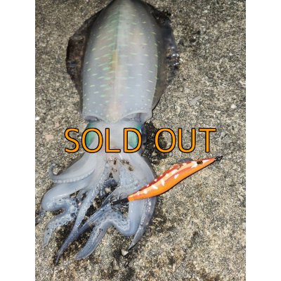 画像16: WILDCHASE 3.5号 / 斑赤龍/RED GLOW搭載[特注:EGI MANIACS]