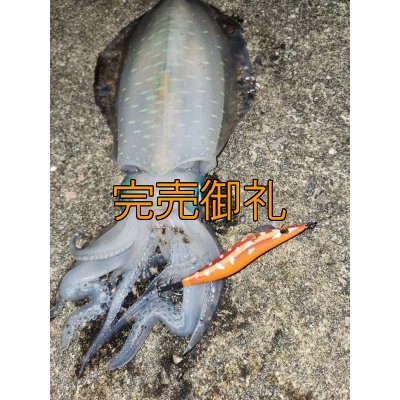 画像8: WILDCHASE 3.5号シャローtune / 斑赤龍/RED GLOW搭載[特注:EGI MANIACS]