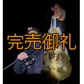 WILDCHASE 3.5号シャローtune / 斑赤龍/RED GLOW搭載[特注:EGI MANIACS]