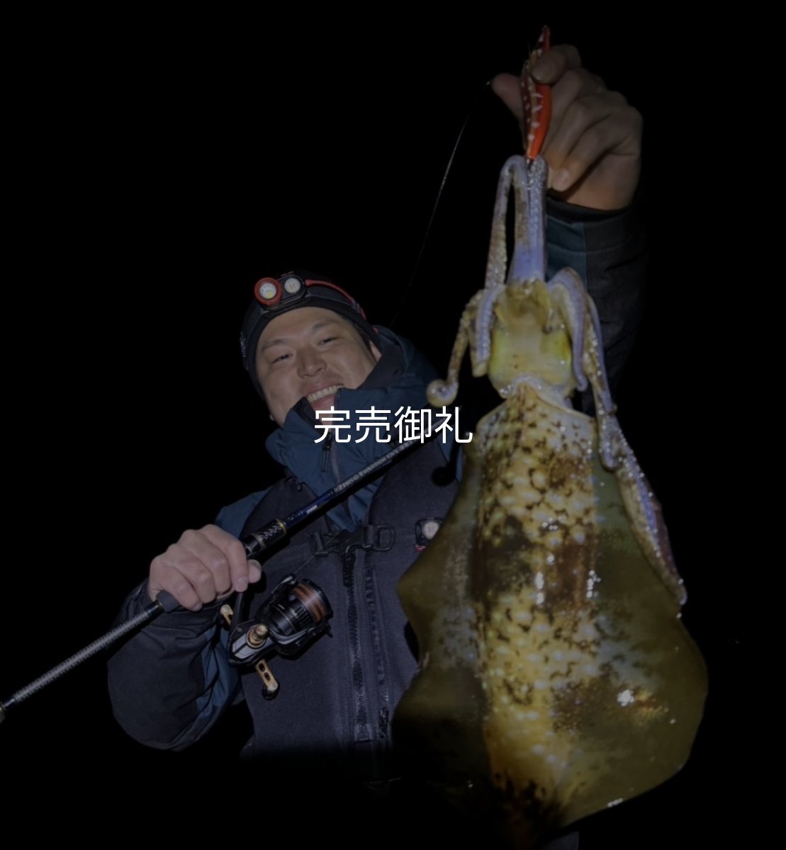 画像7: WILDCHASE 3.0号RTラトル / 斑赤龍/RED GLOW搭載[特注:EGI MANIACS] (7)
