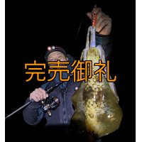 WILDCHASE 3.0号 / 斑赤龍/RED GLOW搭載[特注:EGI MANIACS]