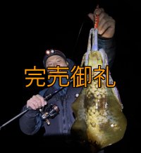 WILDCHASE 3.0号 / 斑赤龍/RED GLOW搭載[特注:EGI MANIACS]
