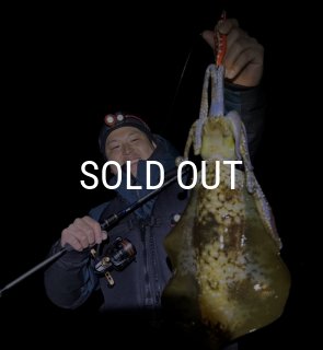 FINAL 予約限定13％OFF『魅黒/緑』ZERO-G EVOLUTION GVX 703 玄武
