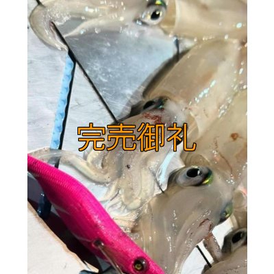 画像14: WILDCHASE 2.5号イカメタル＆オモリグ特化/BONE series[特注:EGI MANIACS] 