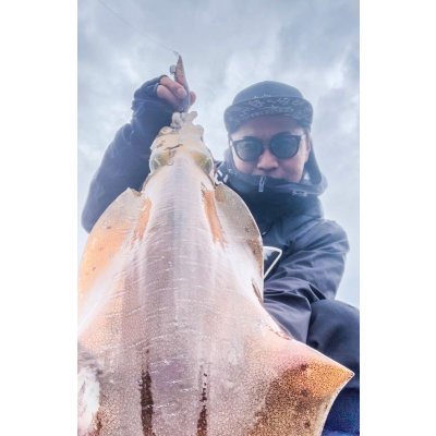 画像3: WILDCHASE 3.5号/ 斑紫龍[特注:EGI MANIACS]