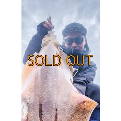 画像3: WILDCHASE 3.5号/ 斑紫龍[特注:EGI MANIACS]