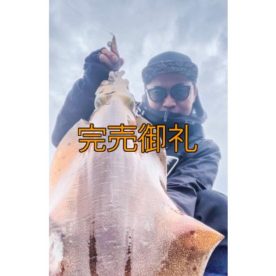 画像11: WILDCHASE 3.0号RTラトル/ 斑紫龍[特注:EGI MANIACS]