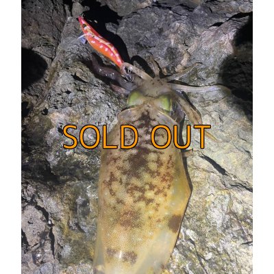 画像15: WILDCHASE 3.5号 / 斑赤龍/RED GLOW搭載[特注:EGI MANIACS]