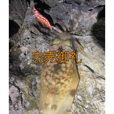 画像7: WILDCHASE 3.5号シャローtune / 斑赤龍/RED GLOW搭載[特注:EGI MANIACS]