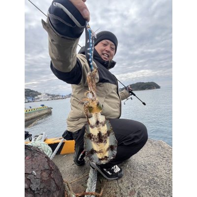 画像11: WILDCHASE 3.5号/ 斑黒龍/RED GLOW搭載[特注:EGI MANIACS]