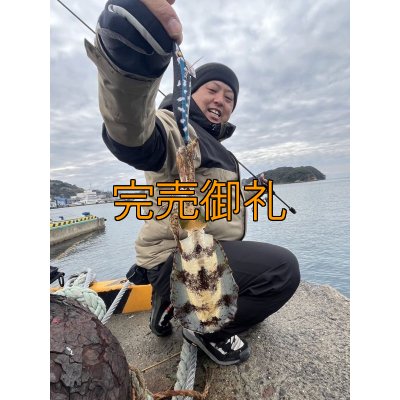 画像7: WILDCHASE 3.0号/ 斑黒龍/RED GLOW搭載[特注:EGI MANIACS]