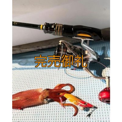 画像13: WILDCHASE 2.5号イカメタル＆オモリグ特化/BONE series[特注:EGI MANIACS] 