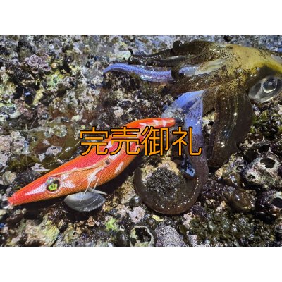 画像6: WILDCHASE 3.5号シャローtune / 斑赤龍/RED GLOW搭載[特注:EGI MANIACS]