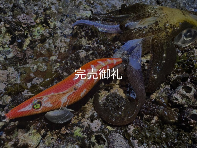 WILDCHASE 3.5号シャローtune / 斑赤龍/RED GLOW搭載[特注:EGI MANIACS