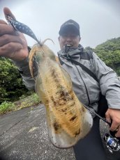 画像6: WILDCHASE 3.0号/ 斑黒龍/RED GLOW搭載[特注:EGI MANIACS] (6)