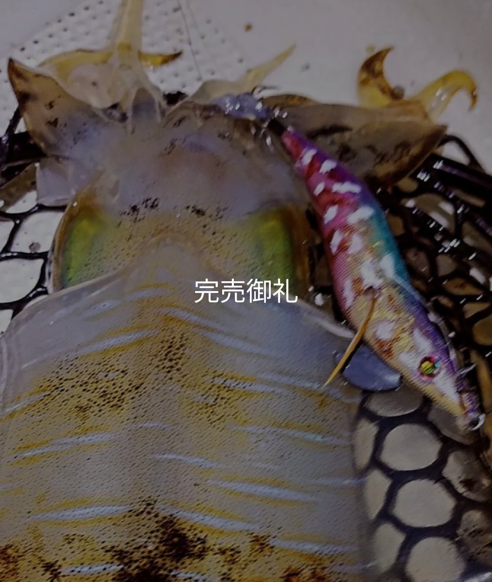 画像14: WILDCHASE 3.0号RTラトル/ 斑紫龍[特注:EGI MANIACS] (14)