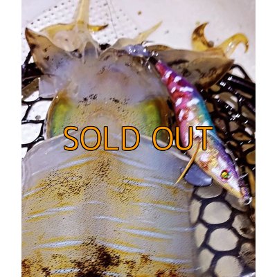 画像6: WILDCHASE 3.5号/ 斑紫龍[特注:EGI MANIACS]