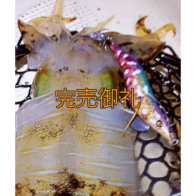 画像14: WILDCHASE 3.0号RTラトル/ 斑紫龍[特注:EGI MANIACS]