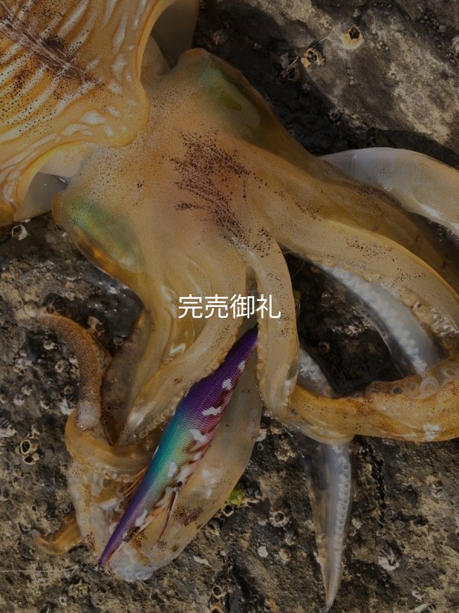 画像12: WILDCHASE 3.0号RTラトル/ 斑紫龍[特注:EGI MANIACS] (12)