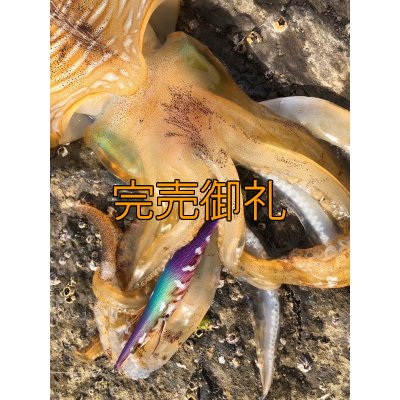 画像12: WILDCHASE 3.0号RTラトル/ 斑紫龍[特注:EGI MANIACS]