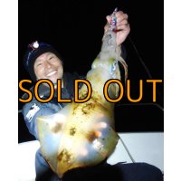 WILDCHASE 3.5号/ 斑紫龍[特注:EGI MANIACS]