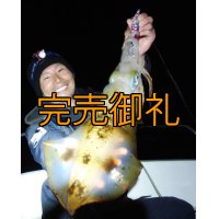 WILDCHASE 3.0号/ 斑紫龍[特注:EGI MANIACS]