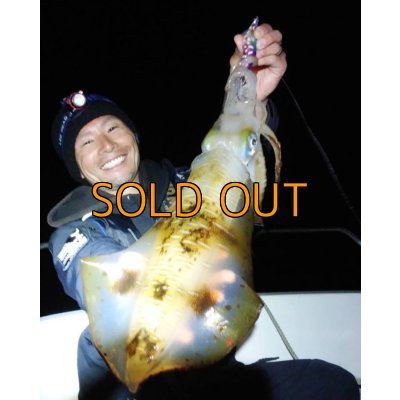 画像1: WILDCHASE 3.5号/ 斑紫龍[特注:EGI MANIACS]