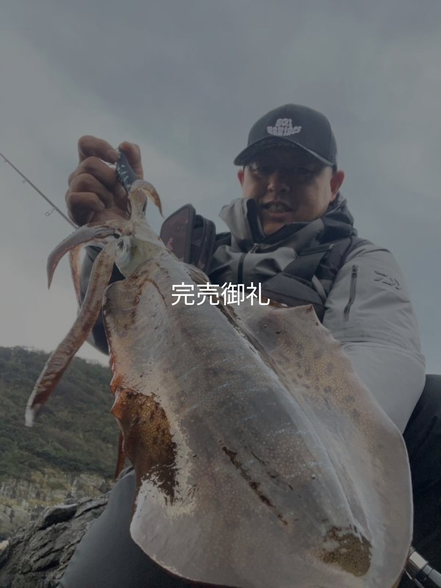 画像3: WILDCHASE 3.0号/ 斑黒龍/RED GLOW搭載[特注:EGI MANIACS] (3)