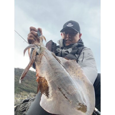 画像7: WILDCHASE 3.5号/ 斑黒龍/RED GLOW搭載[特注:EGI MANIACS]