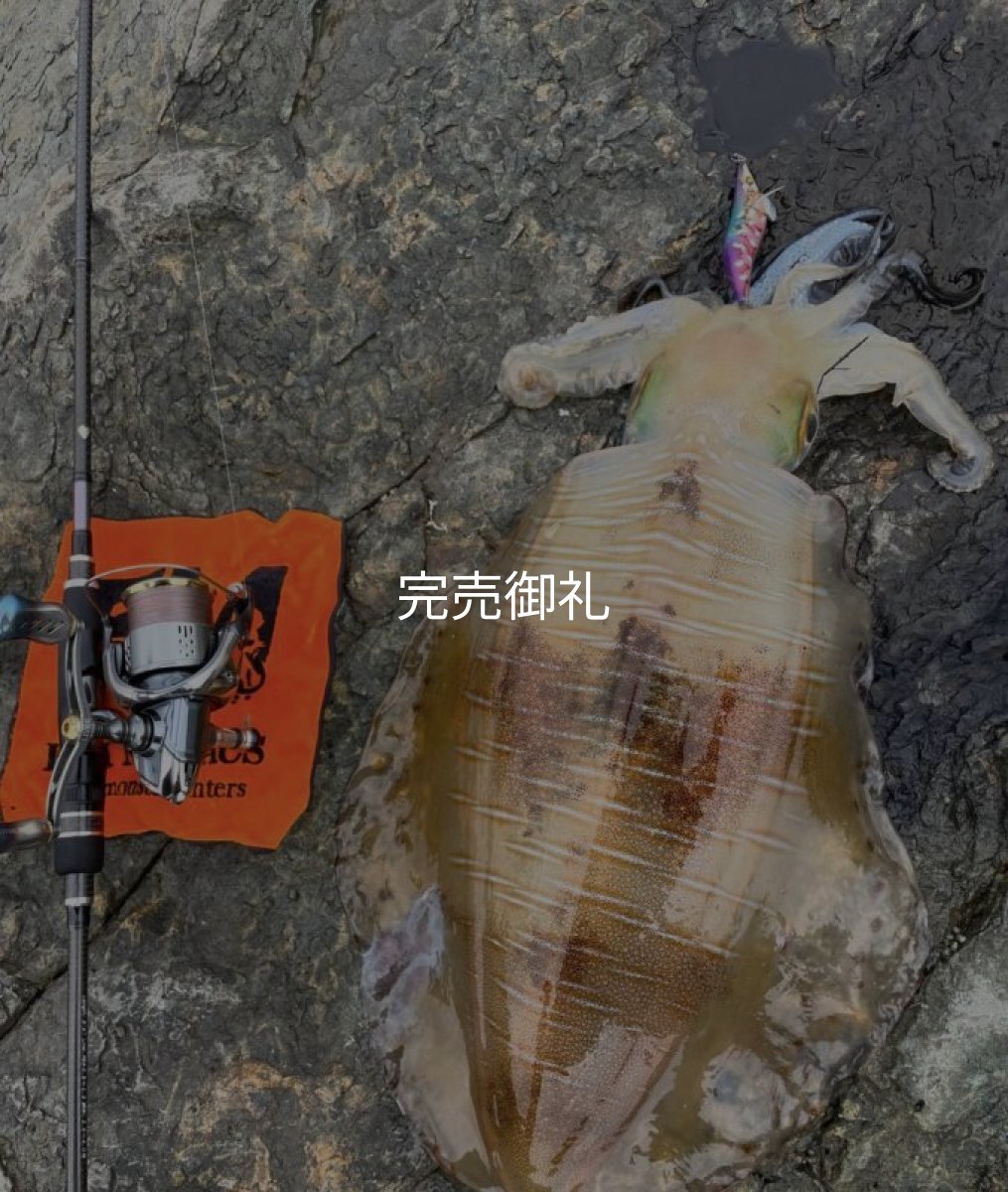 画像13: WILDCHASE 3.0号RTラトル/ 斑紫龍[特注:EGI MANIACS] (13)