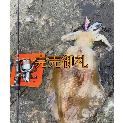 画像13: WILDCHASE 3.0号RTラトル/ 斑紫龍[特注:EGI MANIACS]