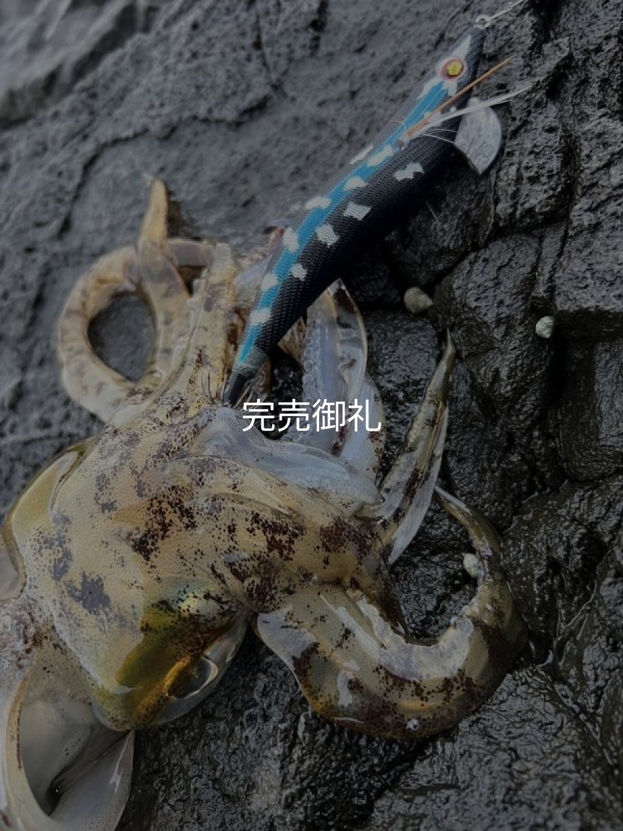 画像10: WILDCHASE 3.0号/ 斑黒龍/RED GLOW搭載[特注:EGI MANIACS] (10)