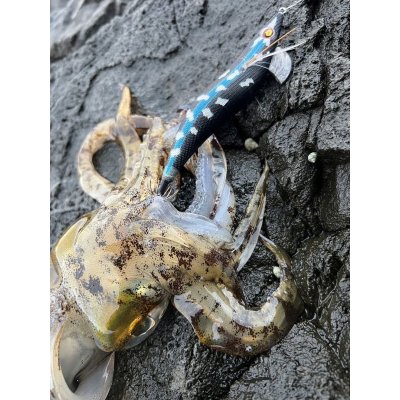 画像14: WILDCHASE 3.5号/ 斑黒龍/RED GLOW搭載[特注:EGI MANIACS]