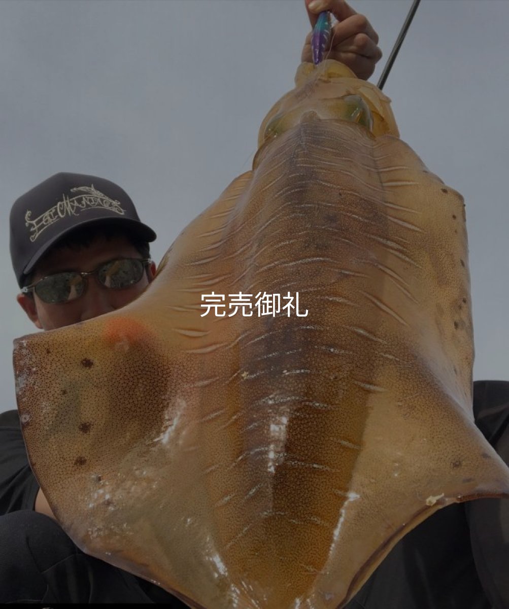 画像10: WILDCHASE 3.0号RTラトル/ 斑紫龍[特注:EGI MANIACS] (10)