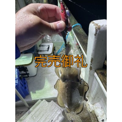 画像6: WILDCHASE 2.5号イカメタル＆オモリグ特化/BONE series[特注:EGI MANIACS] 